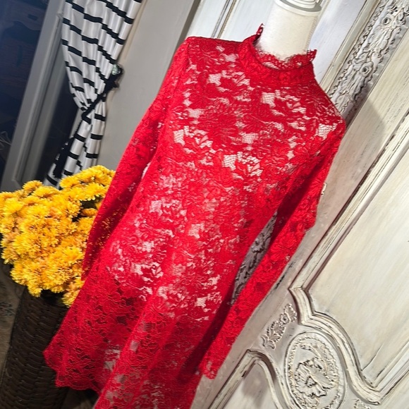 Elegant Red Lace Mini Dress - Picture 2 of 11